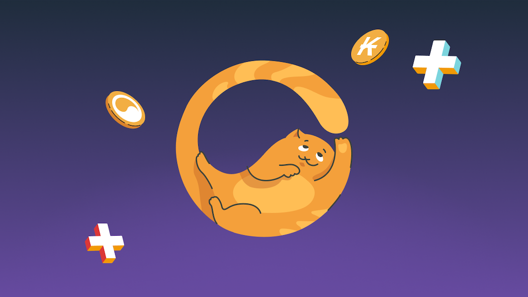 Empower Your Team: The Story Behind Karma Web Platform